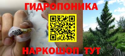 трава Аша